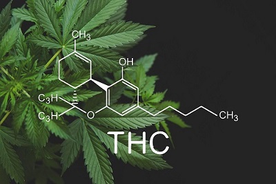 THC CBD